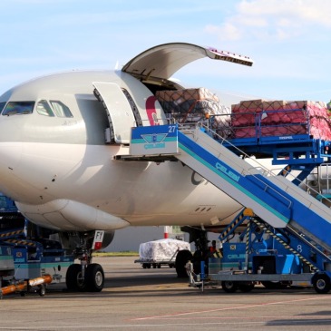 MLC luôn cung cấp dịch vụ vận tải hàng không tốt nhất